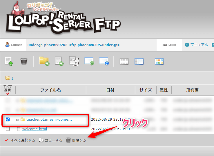 解除したサブドメインにチェックを入れ、削除をクリック